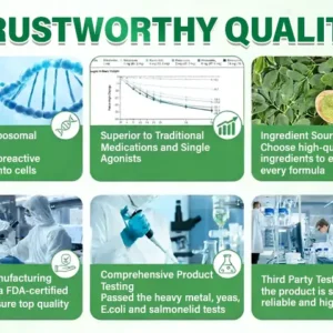 🇺🇸 Official US Store | 🧑⚕️🩺Timilk® Moringa · Berberine × NAD+ 10-in-1 Advanced Metabolic Nano Microneedle Patch - Once Daily, Visible Results in 7 Days