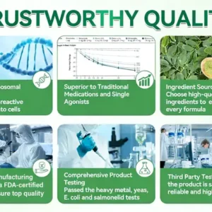 Official Store | ☀️☀️ Timilk® Moringa · Berberine × NAD+ 10-in-1 Advanced Nano Microneedle Patch