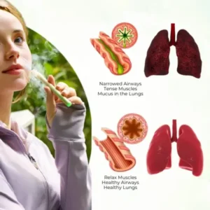 Timilk® HerbaAir Mullein Lung Purifier