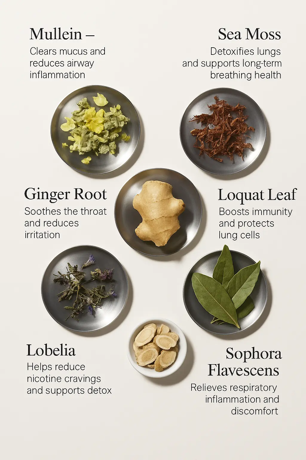 Timilk® HerbaAir Mullein Lung Purifier💨FDA-Approved Lung Support in 15 Minutes