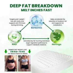 Timilk® SculptAura Moringa • Berberin + NAD+ 10-in-1 Nano-Microneedle-Patch